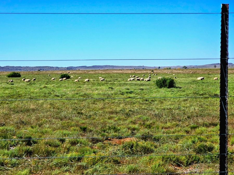 4 Bedroom Property for Sale in Bloemfontein Rural Free State